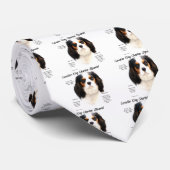Cravate Cavalier King Charles Spaniel (tricolore) Histoire (Roulé)