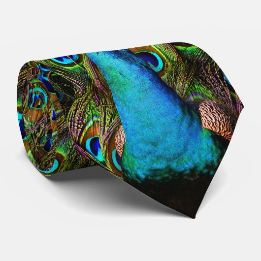 Cravate Ce paon vous regarde ! (Roulé)