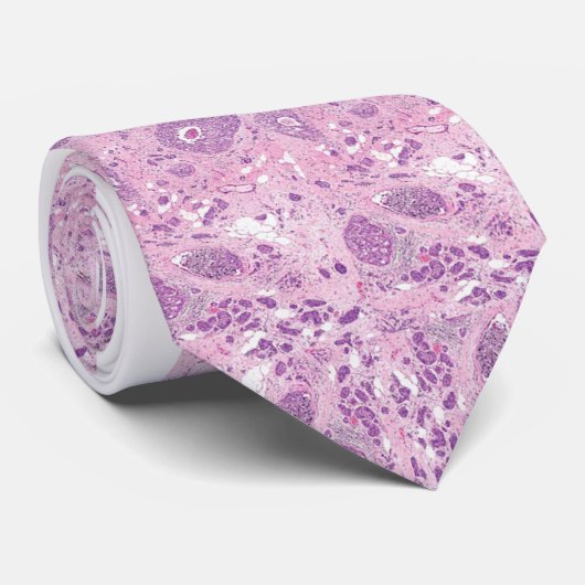 Cravate - cellules de cancer du sein (Roulé)