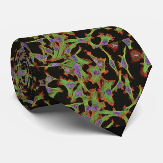 Cravate - cellules hela (Henrietta manque) (Roulé)