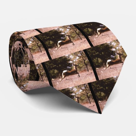Cravate Cerf à queue blanche en marche (Roulé)