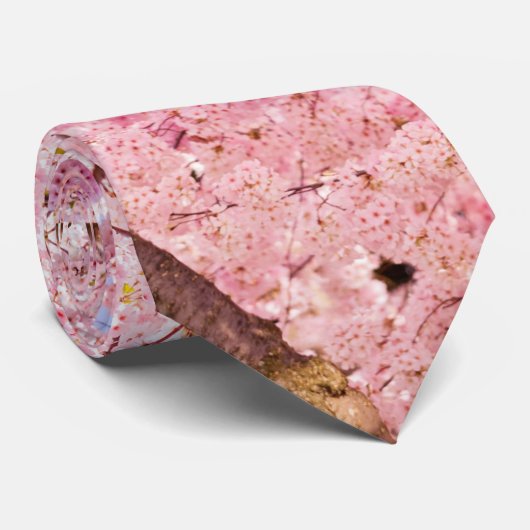 Cravate Cerisiers en fleurs (Roulé)