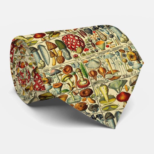 Cravate Champagne Champagne de champagne de champagne de c (Roulé)