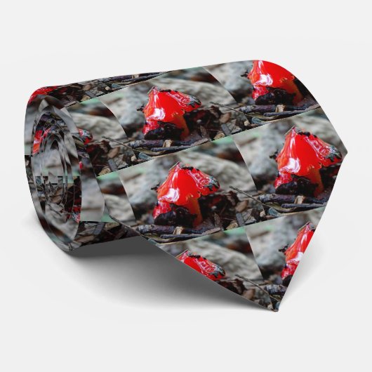 Cravate Champignons rouges (Roulé)