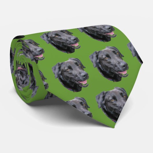 Cravate Charlie (Roulé)