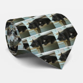 Cravate Chat (Roulé)