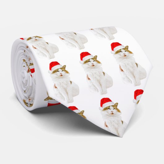 Cravate Chat avec Casquette Père Noël (Roulé)