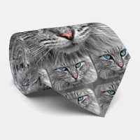 Chat avec des yeux bleus fourrure rose de nez et