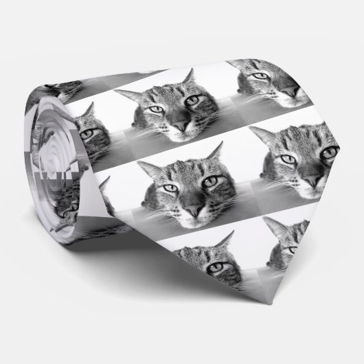 Cravate Chat couché (Roulé)