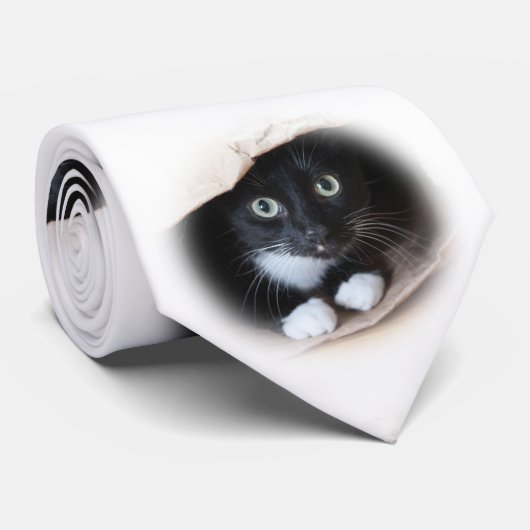 Cravate Chat dans un sac (Roulé)