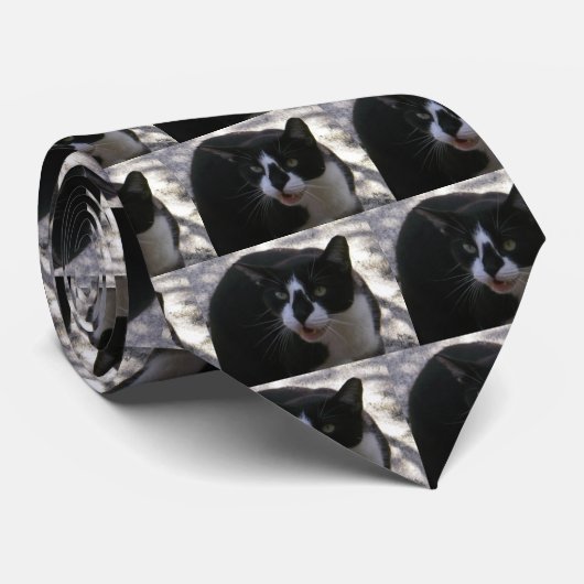 Cravate Chat d'Oreo (Roulé)