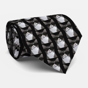 Cravate Chat froid en ville