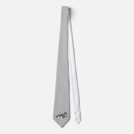 Cravate Chat gris et blanc Tuxedo (Devant)