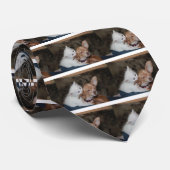 Cravate Chat lécher chien (Roulé)