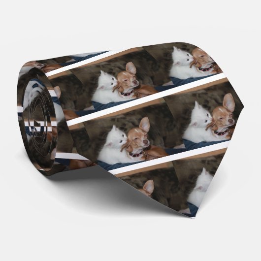 Cravate Chat lécher chien (Roulé)