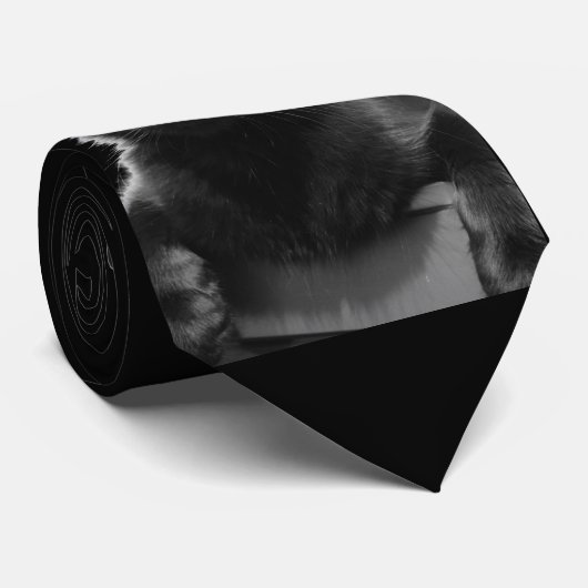 Cravate Chat noir (Roulé)