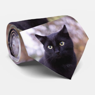 Cravate chat noir