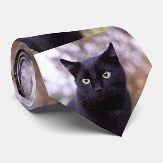 Cravate chat noir (Roulé)
