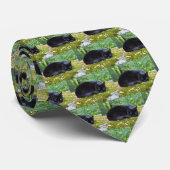 Cravate Chat noir chanceux (Roulé)