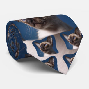 Cravate Chat siamois avec des yeux bleus