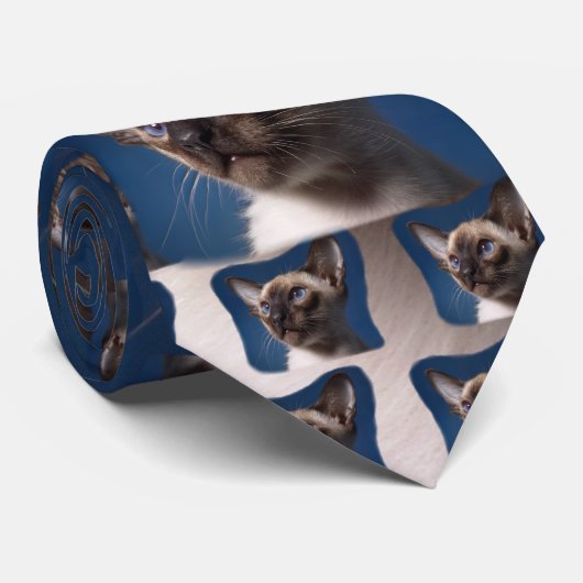 Cravate Chat siamois avec des yeux bleus (Roulé)