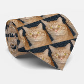 Cravate Chat Tabby Orange (Roulé)