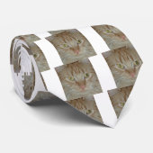 Cravate Chat Tabby Orange (Roulé)