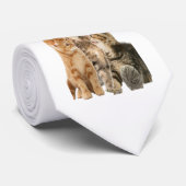 Cravate Chats (Roulé)