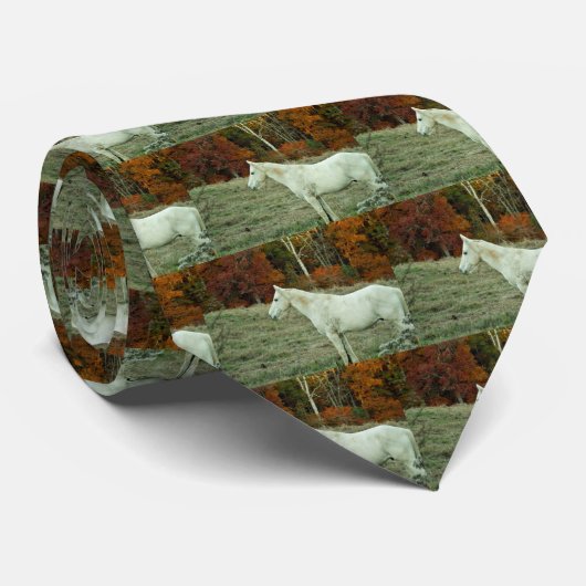 Cravate Cheval à la crème blanche dans un champ d'automne (Roulé)