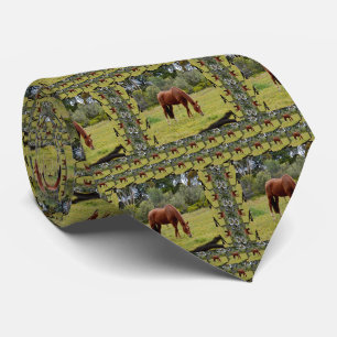 Cravate Cheval Brown Pâturage En Paddock,