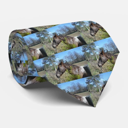 Cravate Cheval de couleur Coco et Crème (Roulé)