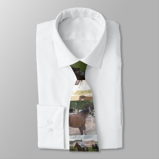 Cravate cheval de course (Attaché)