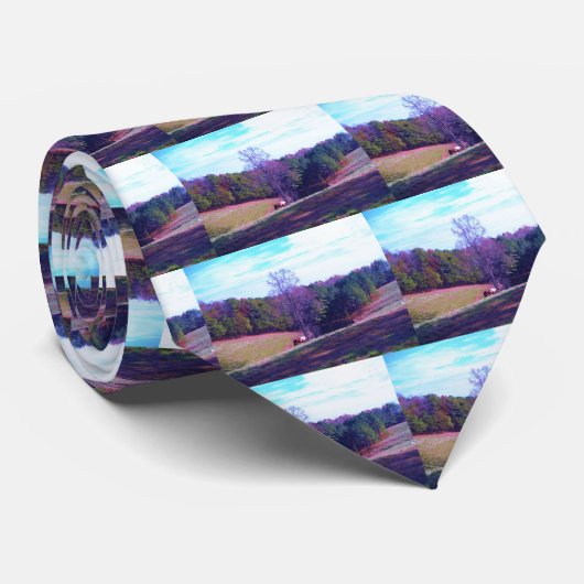 Cravate Cheval éloigné dans un champ violet (Roulé)