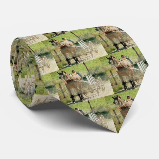 Cravate Cheval et panier Amish (Roulé)