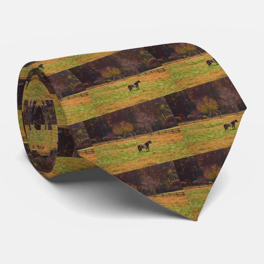 Cravate Cheval peint à distance (Roulé)