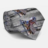 Cravate Cheval Saddle Sur Corral Fence Western (Roulé)