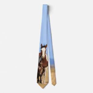 Cravate Cheval sauvage Pinto