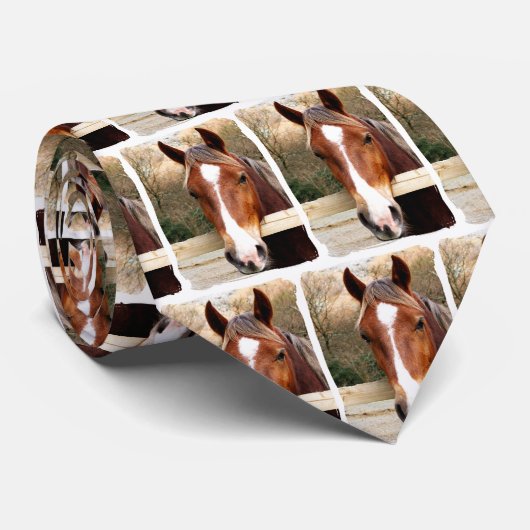 CRAVATE CHEVAUX (Roulé)