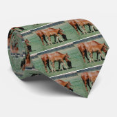 CRAVATE CHEVAUX AMICAUX (Roulé)