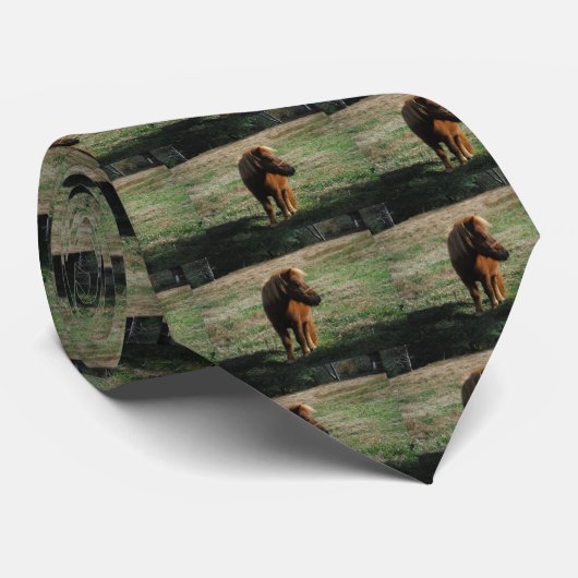 Cravate Chevaux miniatures Brown (Roulé)