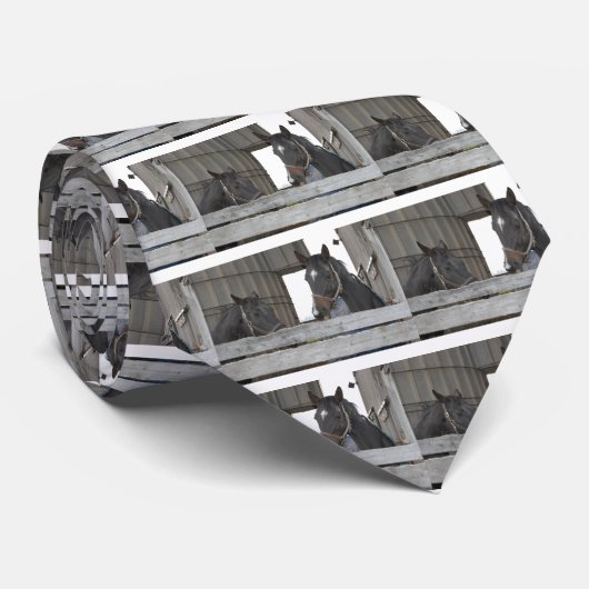 Cravate Chevaux noirs/Ranch (Roulé)