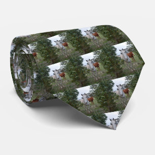 Cravate Chevaux Peekaboo,