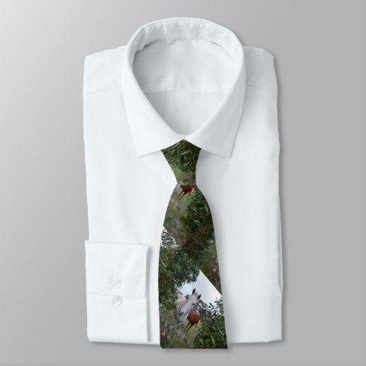 Cravate Chevaux Peekaboo, (Attaché)