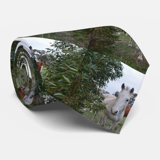 Cravate Chevaux Peekaboo, (Roulé)