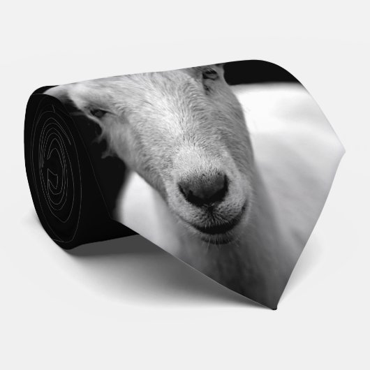 Cravate Chèvre (Roulé)