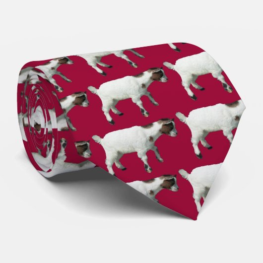 Cravate chèvre, chèvre… (Roulé)