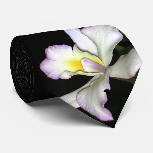 Cravate chic de mariage d'orchidée (Roulé)