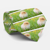 Cravate Chick (Roulé)