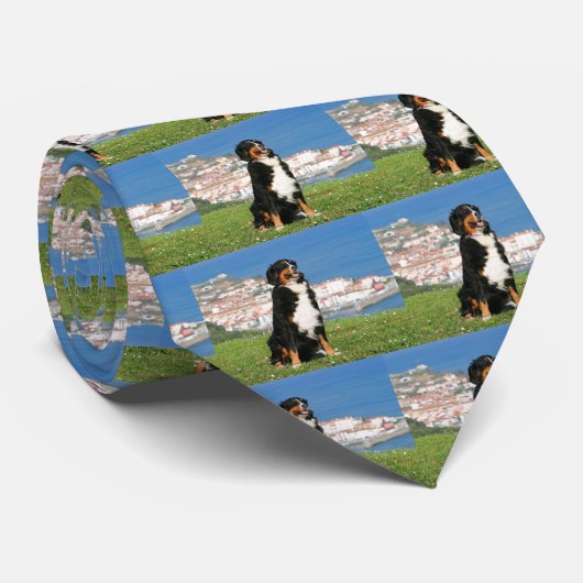 Cravate Chien à bestiaux bernois posant sur la plage (Roulé)