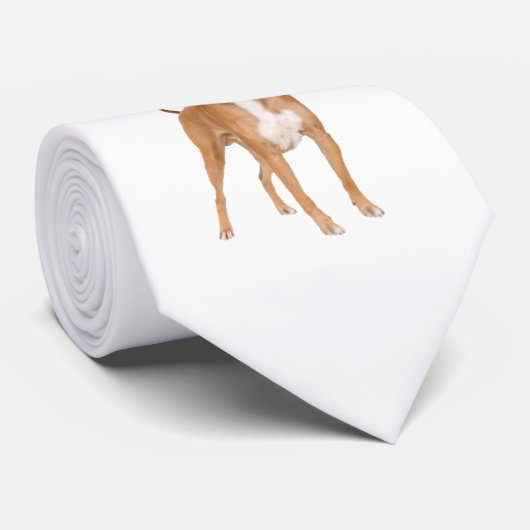 Cravate Chien de boxeur (Roulé)